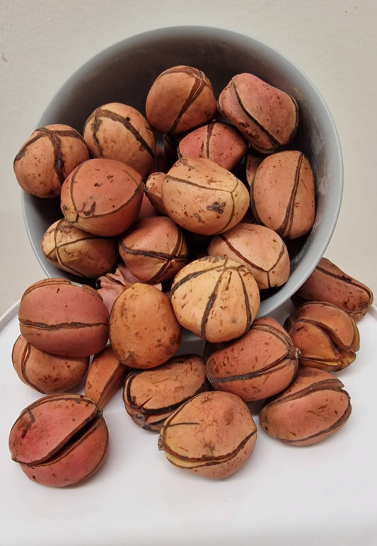 African Kola Nuts-(Cola Acuminata) Igbo-Oji, split by Four